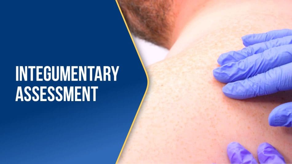 Integumentary-Assessment-BLUE