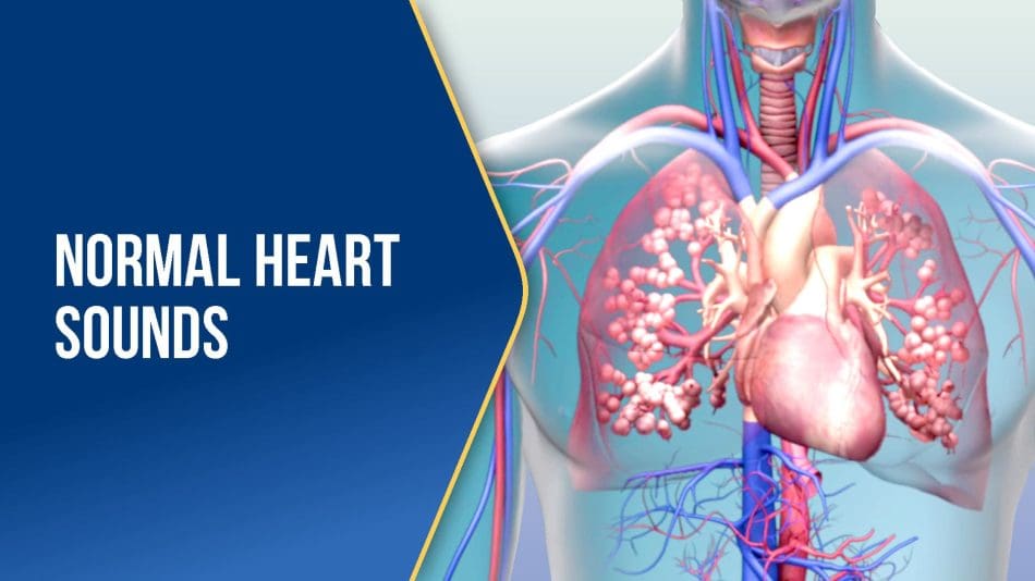 Normal-Heart-Sounds-BLUE